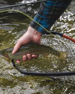 New Simms Fishing Daymaker Landing Net -Small